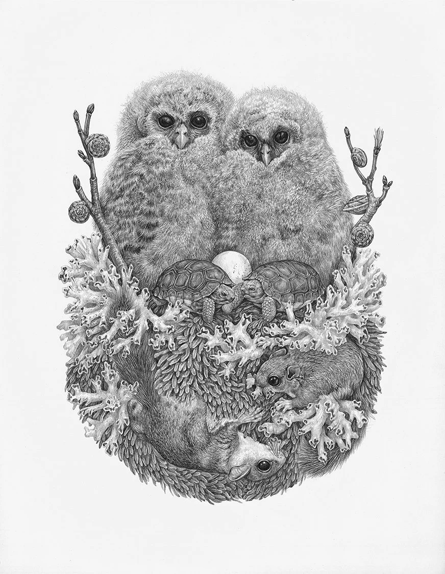 2016 | United States — Zoe Keller Nature Art